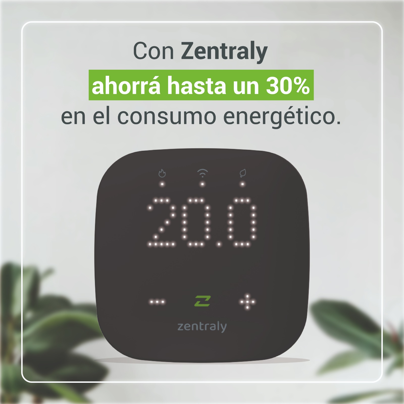 WhatsApp Image 2025-10-01 at 16.45.08 (1)